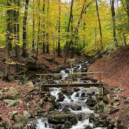 B&B Au Coin Des Sources Sart-lez-Spa Eksteriør bilde