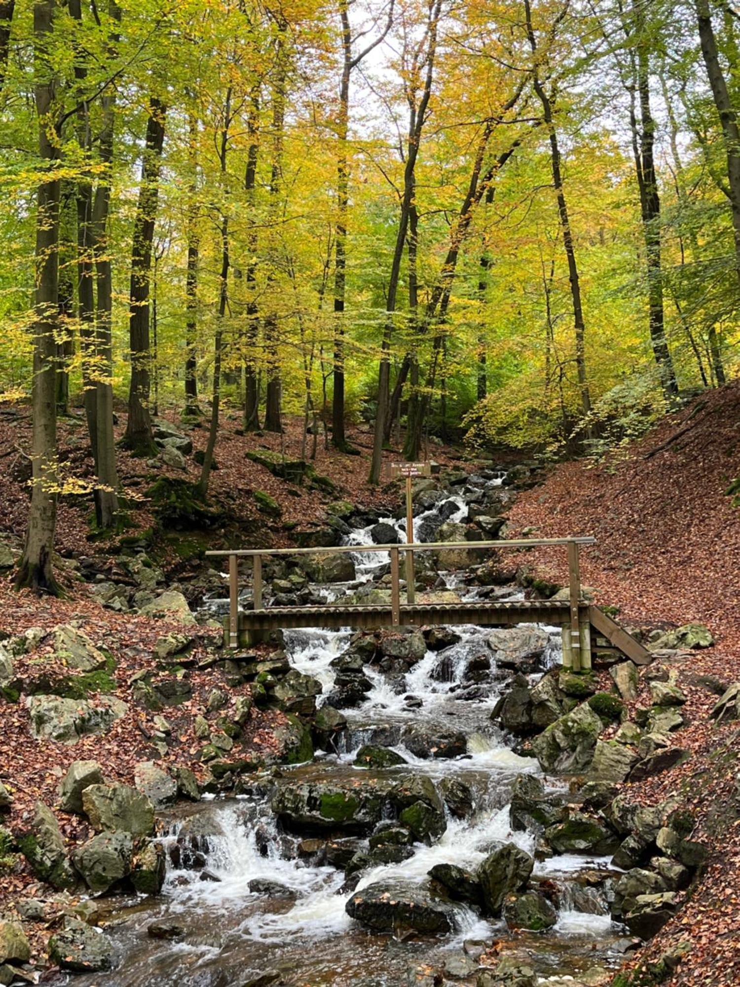 B&B Au Coin Des Sources Sart-lez-Spa Eksteriør bilde
